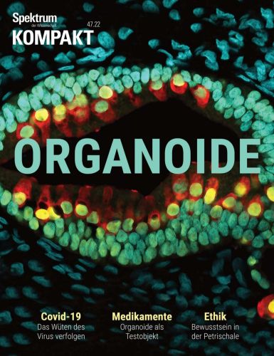 Cover: Spektrum der Wissenschaft Kompakt  No 47 November 2022