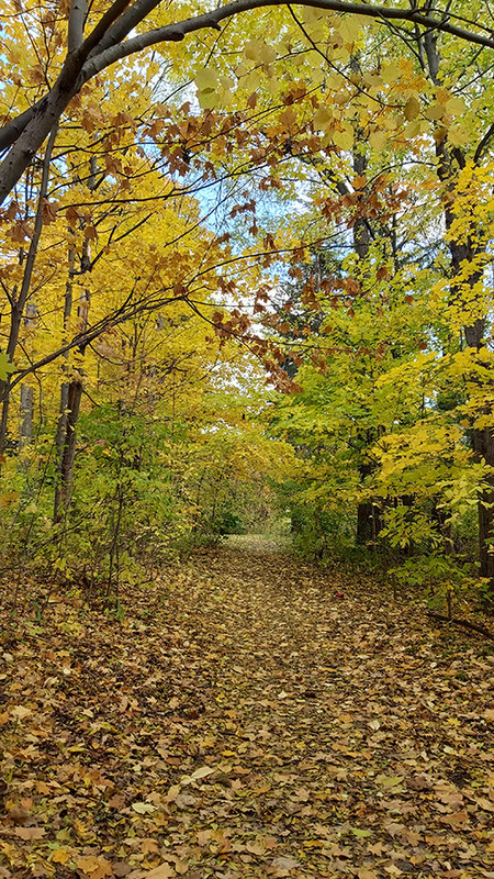 [Image: 20211101-145906.jpg]