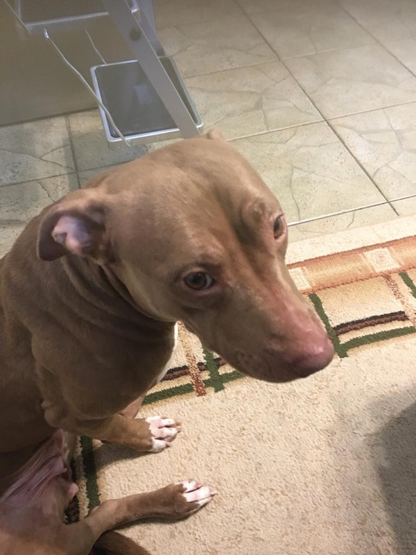 BA7B2FF8-0613-4820-8A65-38CC8BC6FEA0