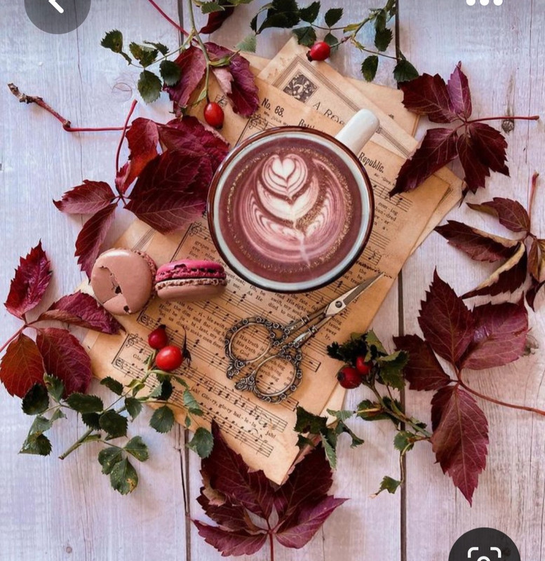 Screenshot_20230517_005918_Pinterest