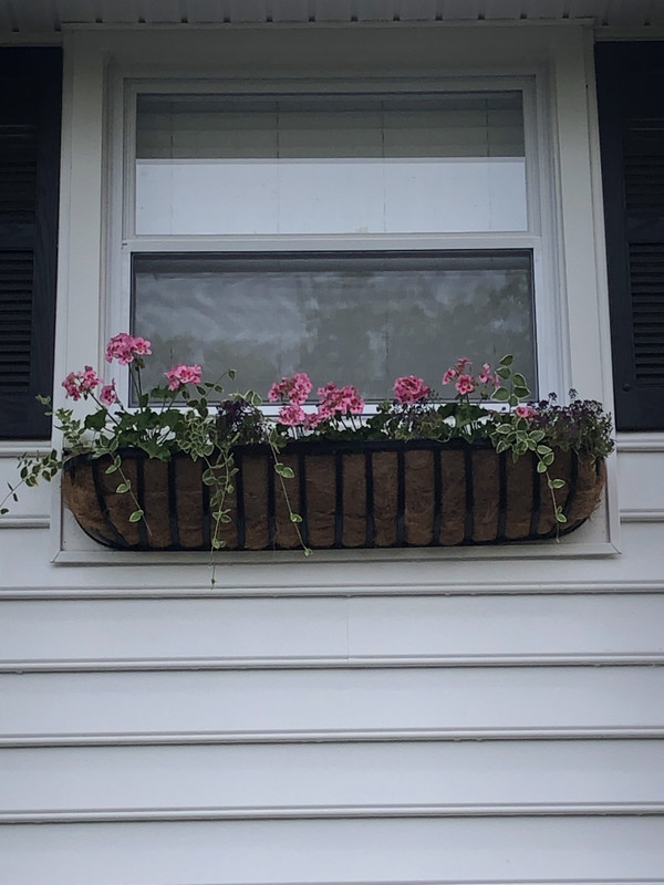 8F2BDB01-36CD-4F90-AFDB-85705B24DC18