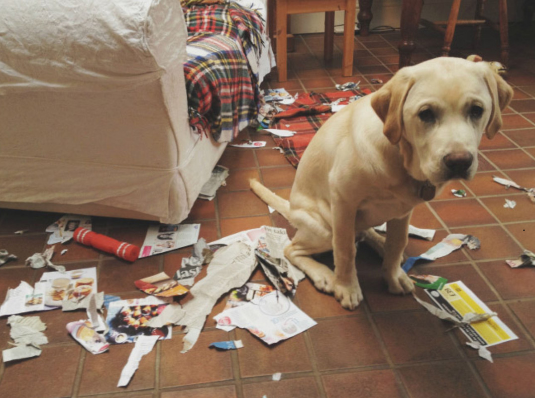 A7E6E88D-91E5-4394-B2F5-EAC59FD22460