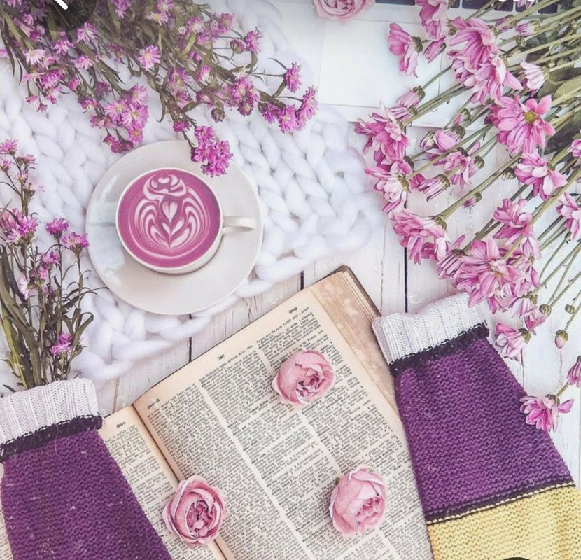 Screenshot_20230301_220347_Pinterest