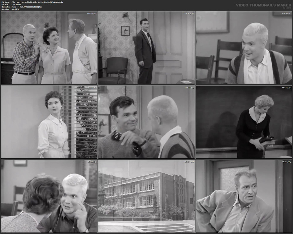 The Many Loves of Dobie Gillis S01E04 The Right Triangle.mkv