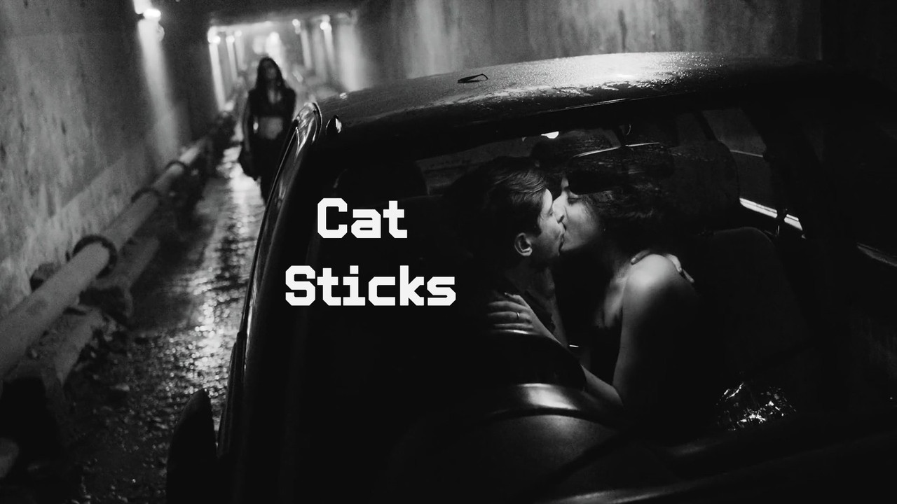 18+ Cat Sticks (2019)