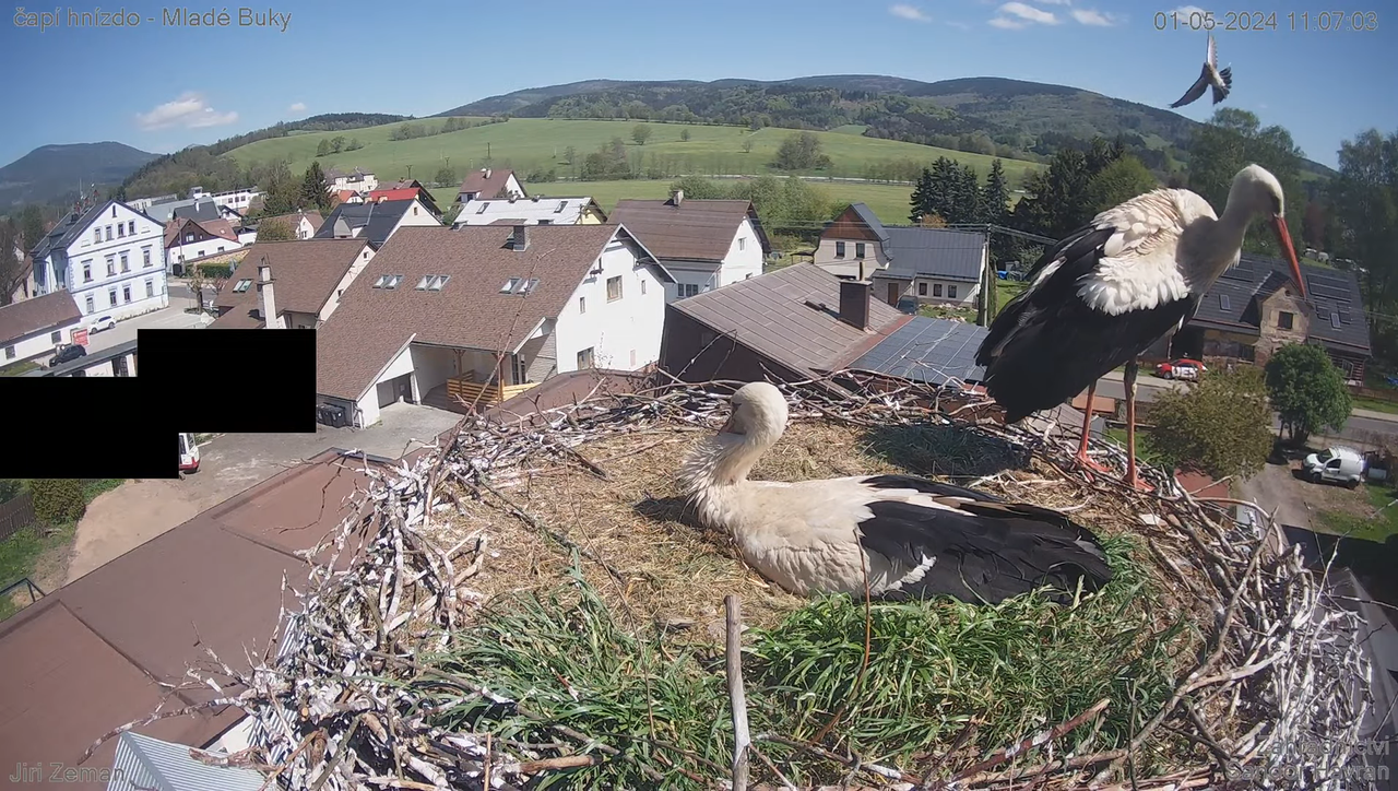 Tiešraides kamera — Mladé Buky — stārķa ligzda 13-30-40 screenshot