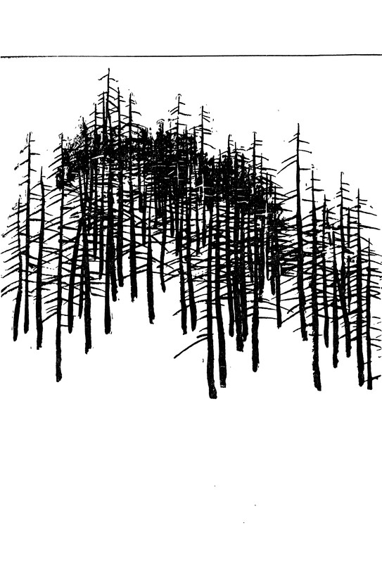 p0003