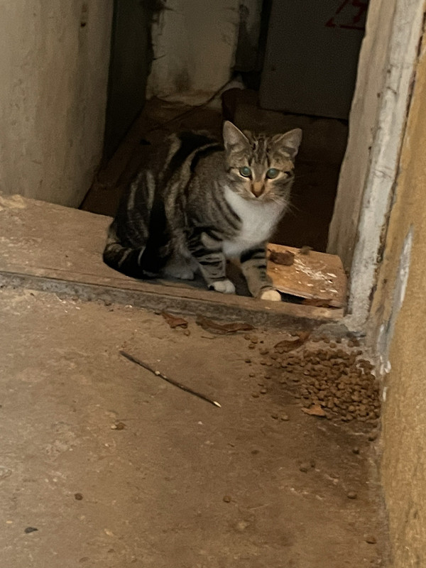 801A4E5A-4A8D-4BF9-AD62-9BAB589B117F