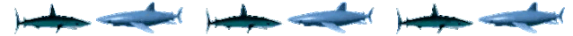 sharks