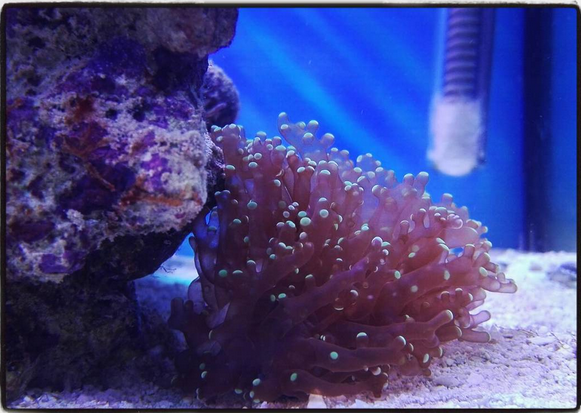 Cattura di schermata (51)