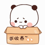 IMG-6919.gif