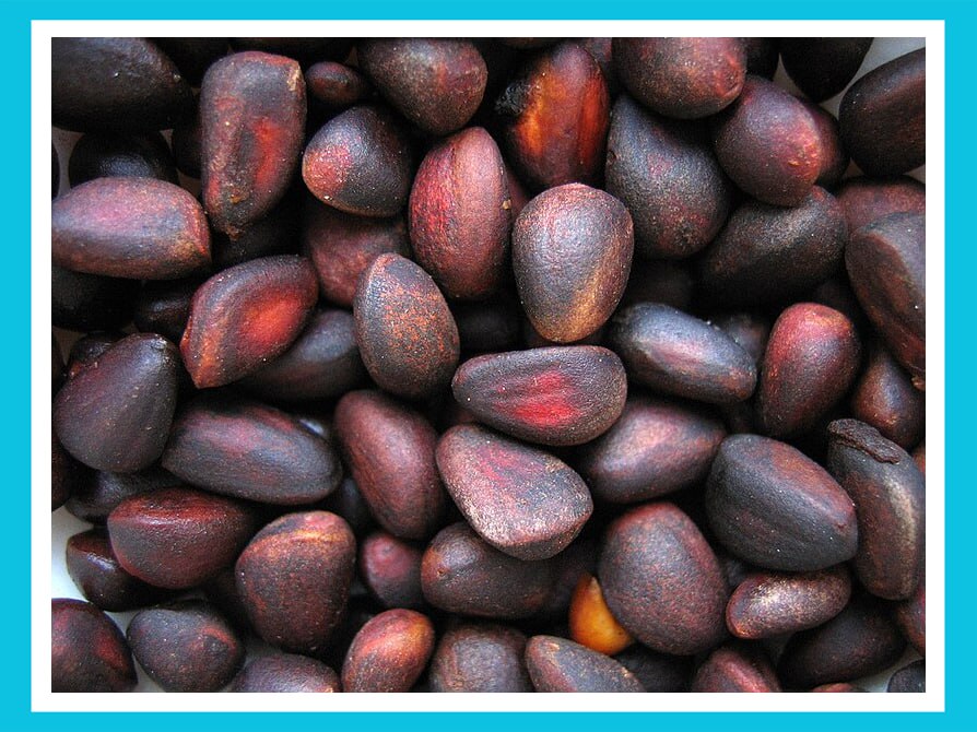 [Изображение: photo-2026-03-29-08-33-39.jpg]