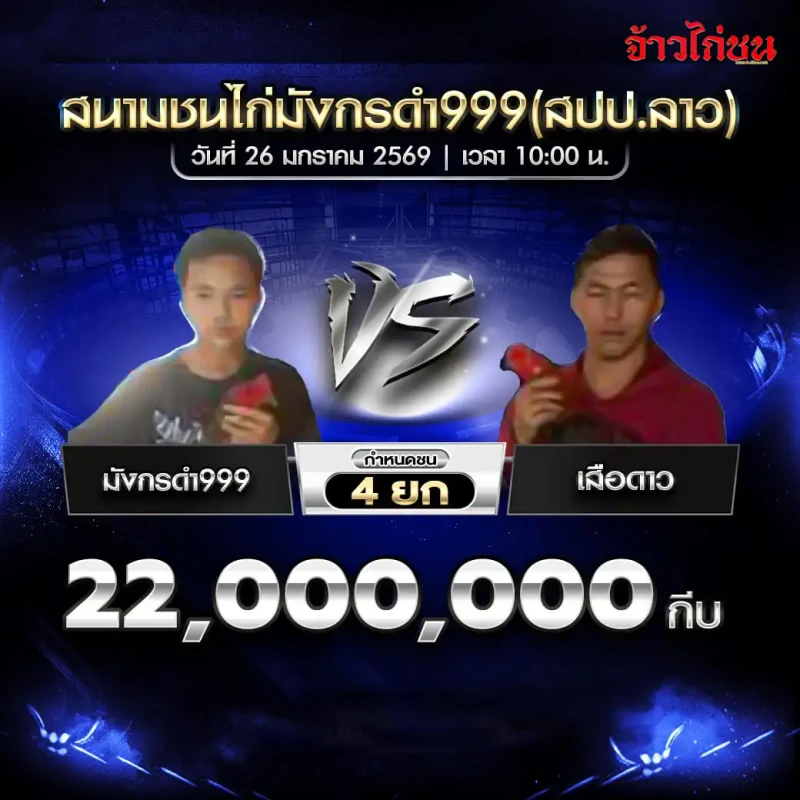 โปรแกรมไก่ชน คู่เด่น มังกรดำ999 พบ เสือดาว สนามชนไก่มังกรดำ999 วันที่ 26 มกราคม 2569