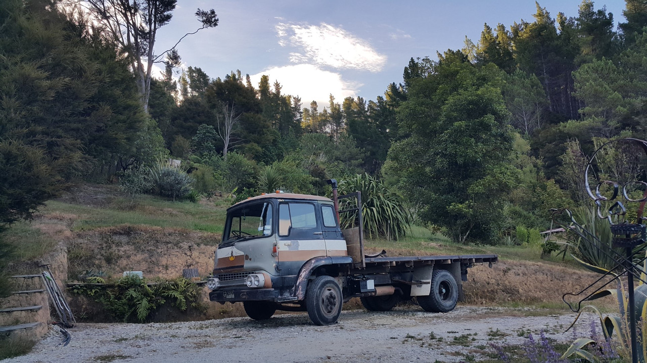 20210125_193822 (Large)