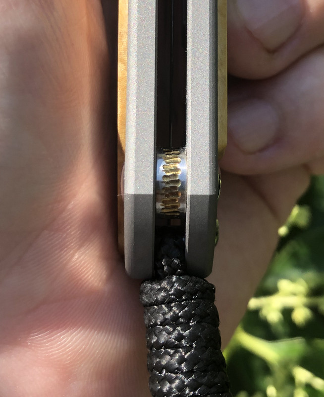 5C517022-4DBF-4290-9A13-B3B847314E1A