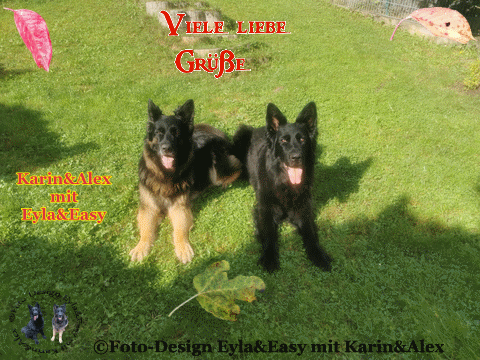 An den Beitrag angehängtes Bild: https://i.postimg.cc/PJ7tkkhZ/Viele-liebe-Gr-e.gif