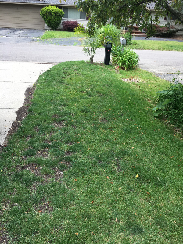 E69ED5A5-BDB0-41D4-A340-C2D670794BA4