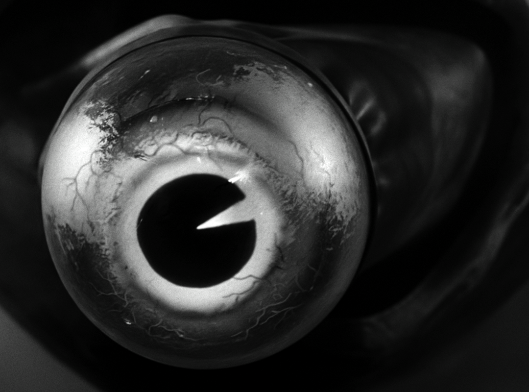 IT CAME REFERENCE (2)