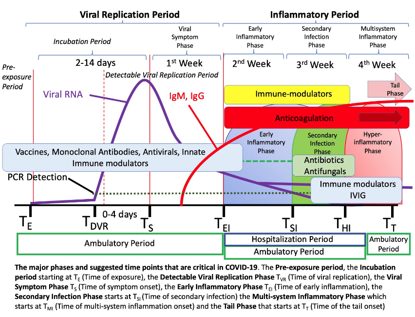 Phases Of Infection And Disease And Treatments From Dr D Griffin Medicine The Daily Sceptic Forums