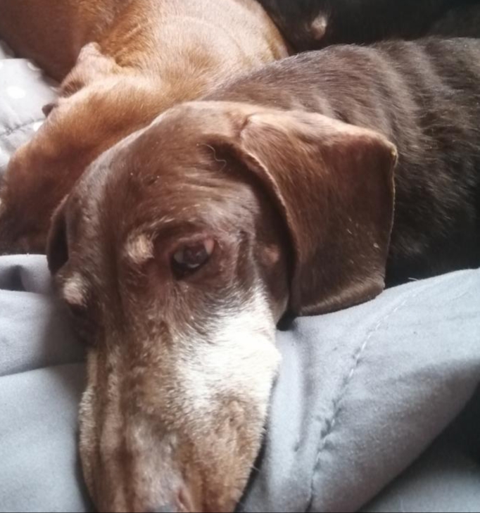 [Image: 20230121-190839.jpg]