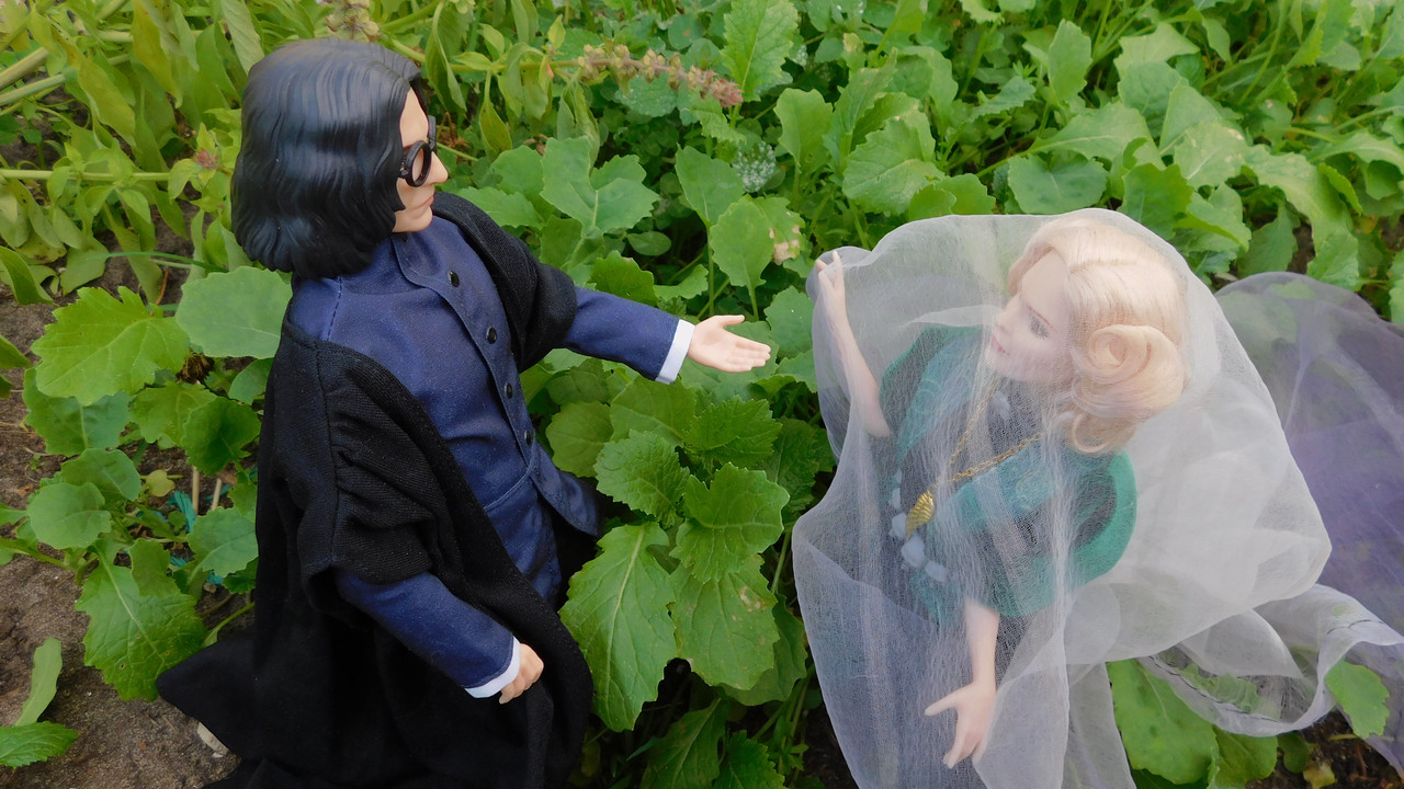 Дачное и  к Хелл сентябрь 2023 091