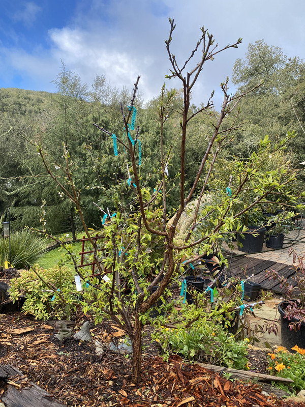 E75C9CA9-2CB9-415F-B20A-ADEAE4CAE48C