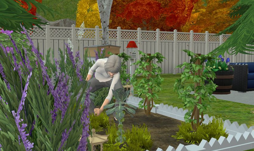 Sims2-EP9-2020-11-09-20-41-33-01