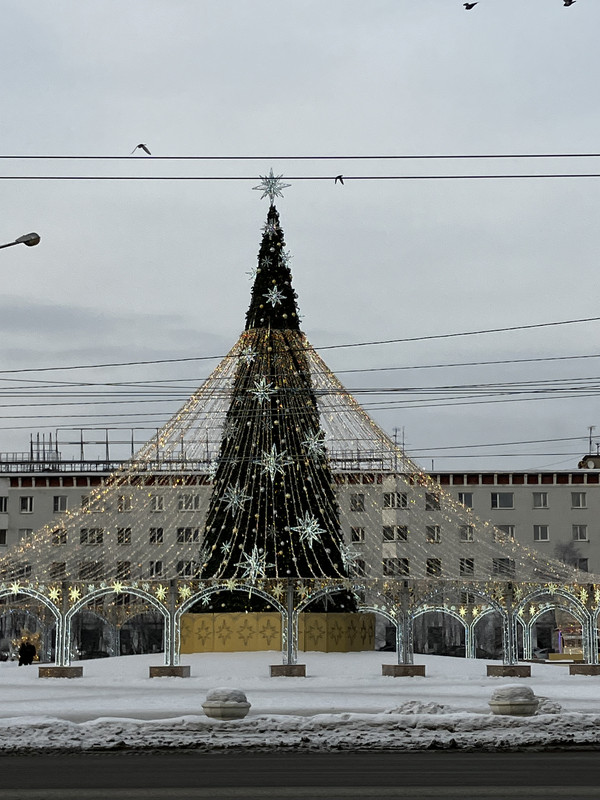IMG-9620.jpg
