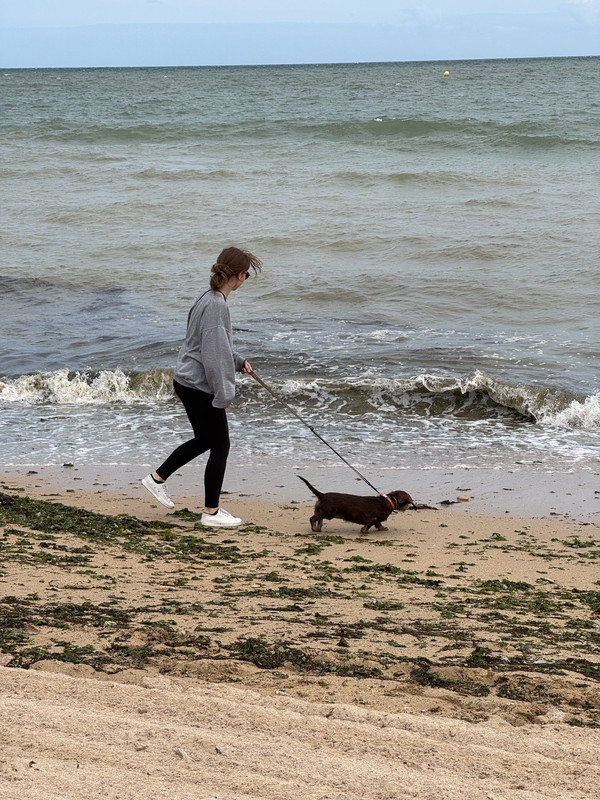 [Image: IMG-2568-1.jpg]