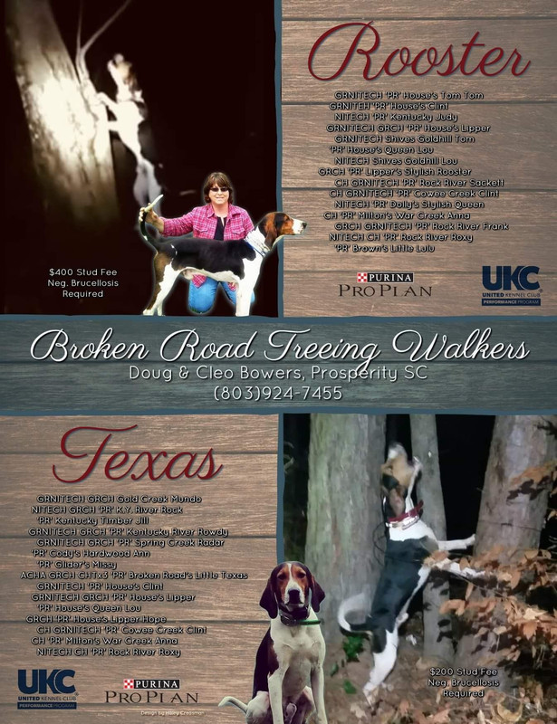 FB_IMG_1534891834143