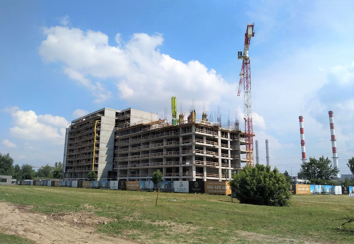 Сакура2 2020-06-09