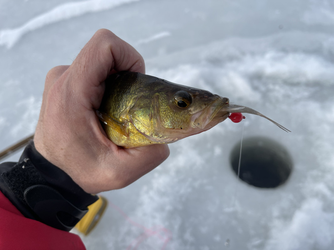 150E37E1-9496-4022-A54A-280BA1DC9EE8