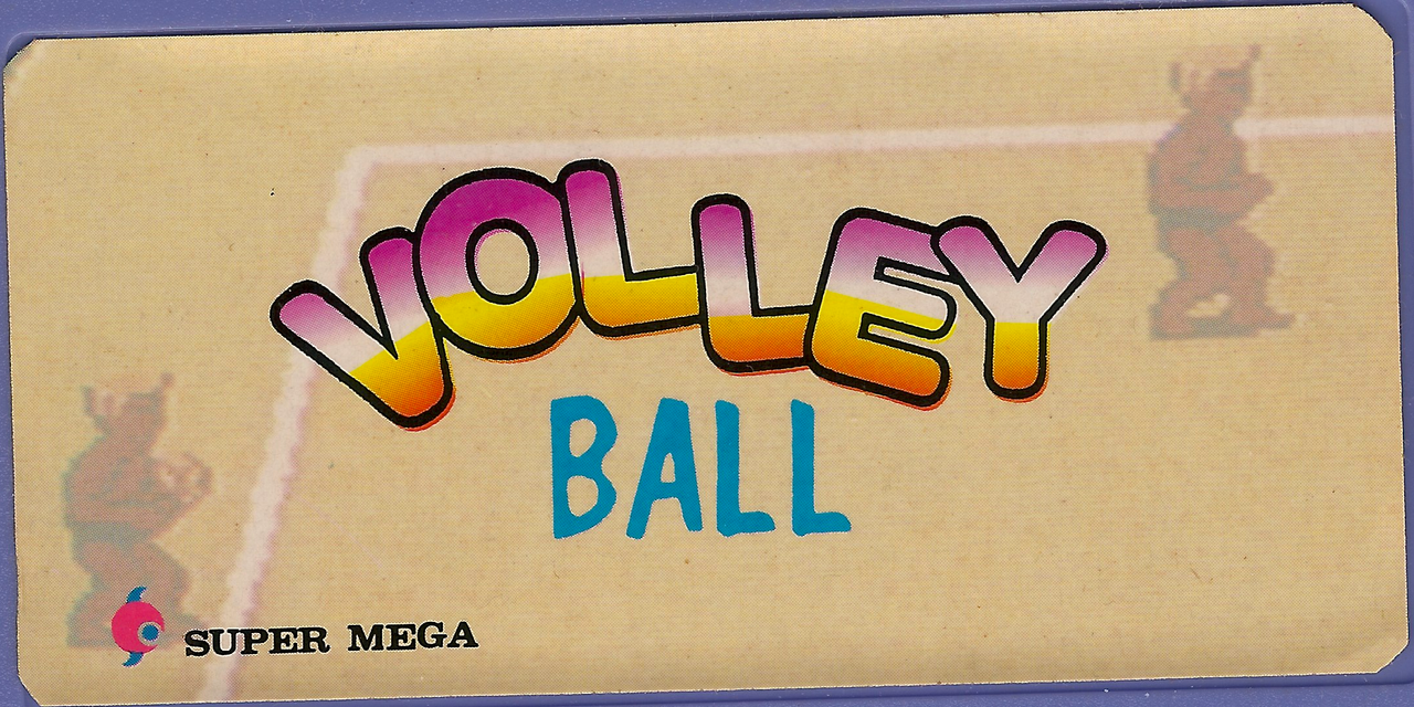 covervolleyball