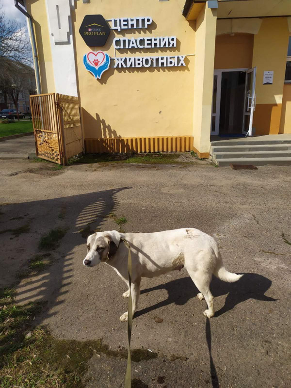 IMG-512496b08d6262d65c36e1368238317f-V