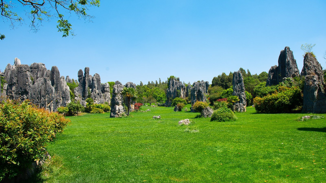 Yunnan 2019 - Blogs de China - Dia 1 - Kunming (12)