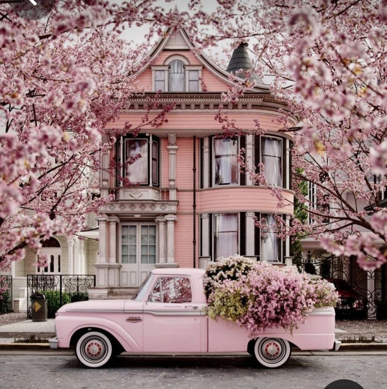 Screenshot_20240405_200837_Pinterest