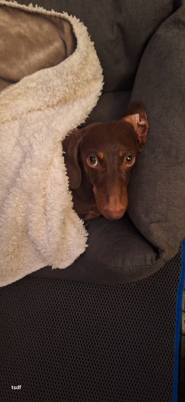 [Image: 20250820-220538.jpg]