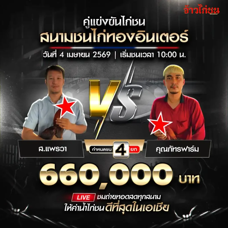 โปรแกรมไก่ชน ส.แพรวา vs คุณภัทรฟาร์ม 4 เมษายน 2026