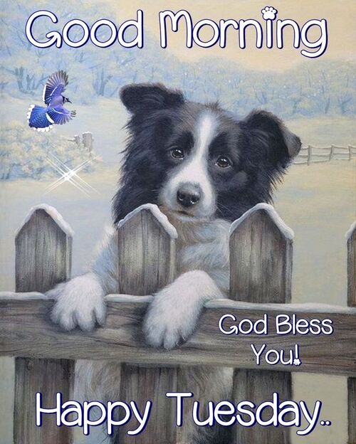 oie-188236Ue-REhh-AC