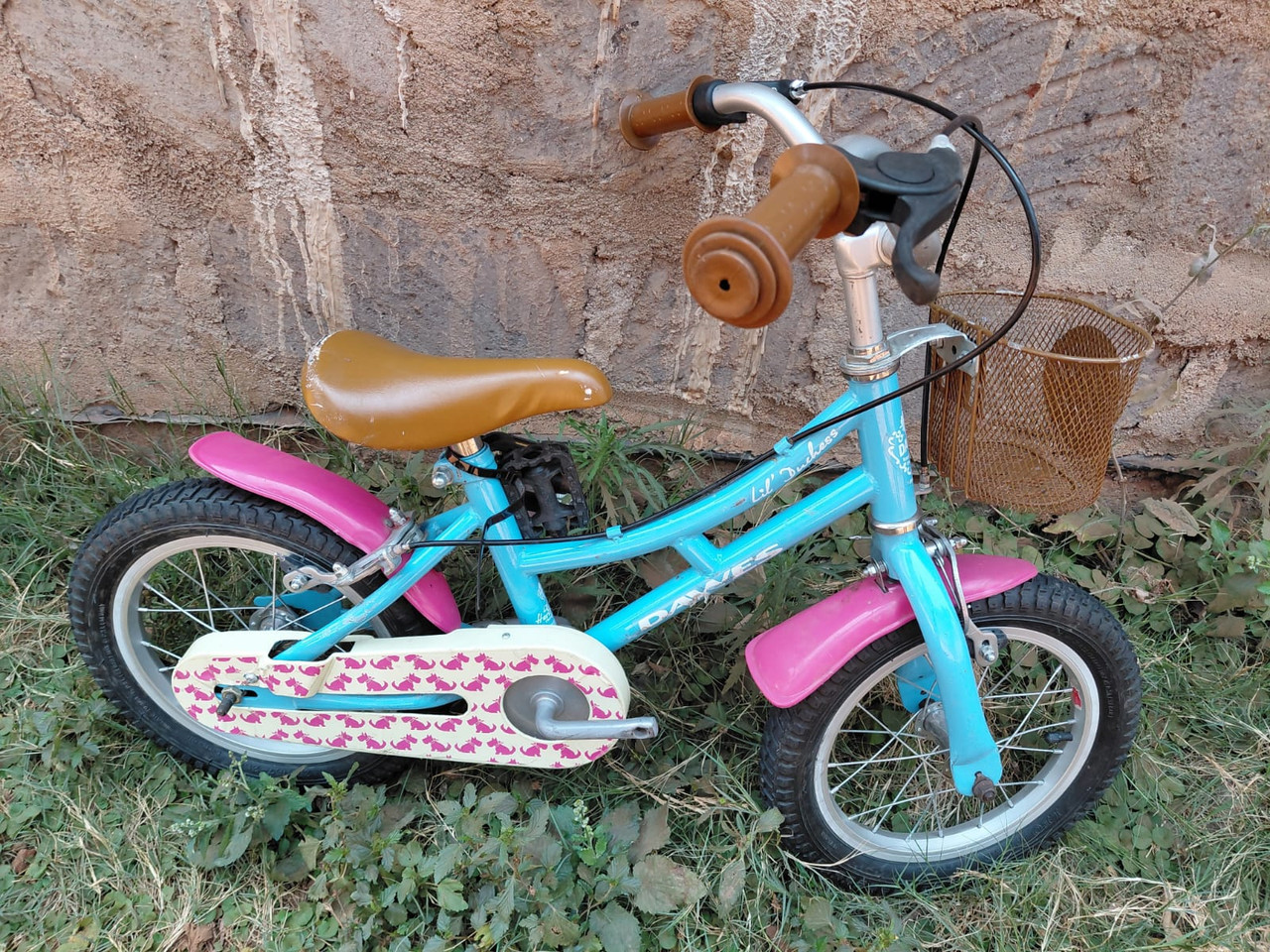 14"Dawes Lil Duchess