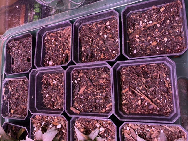 D6F093A2-EDD8-4EE4-A92D-B79705E322D7