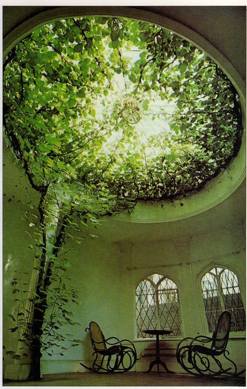 greenrockingchairs.jpg