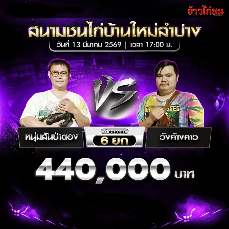 โปรแกรมไก่ชน คู่ หนุ่มสันป่าตอง พบ วังค้างคาว สนามชนไก่บ้านใหม่ลำปาง