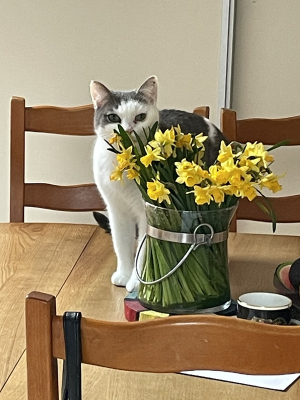 IMG-b8d19a0df53df1a51161b4b25672b002-V