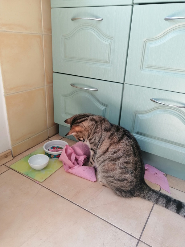 изображение_viber_2021-05-25_15-05-29