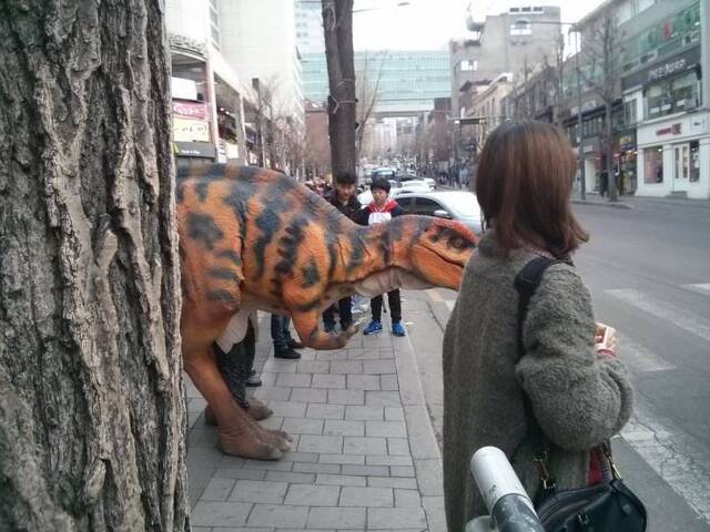 picdump-kw49-2021-046.jpg