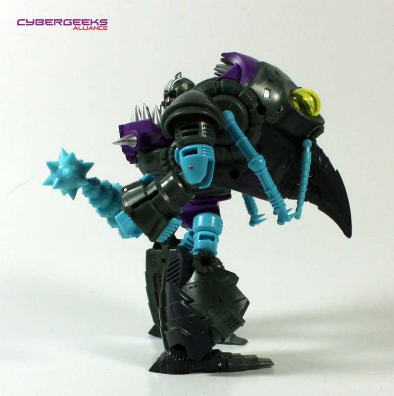 1491703_744944382184123_1802469404_n