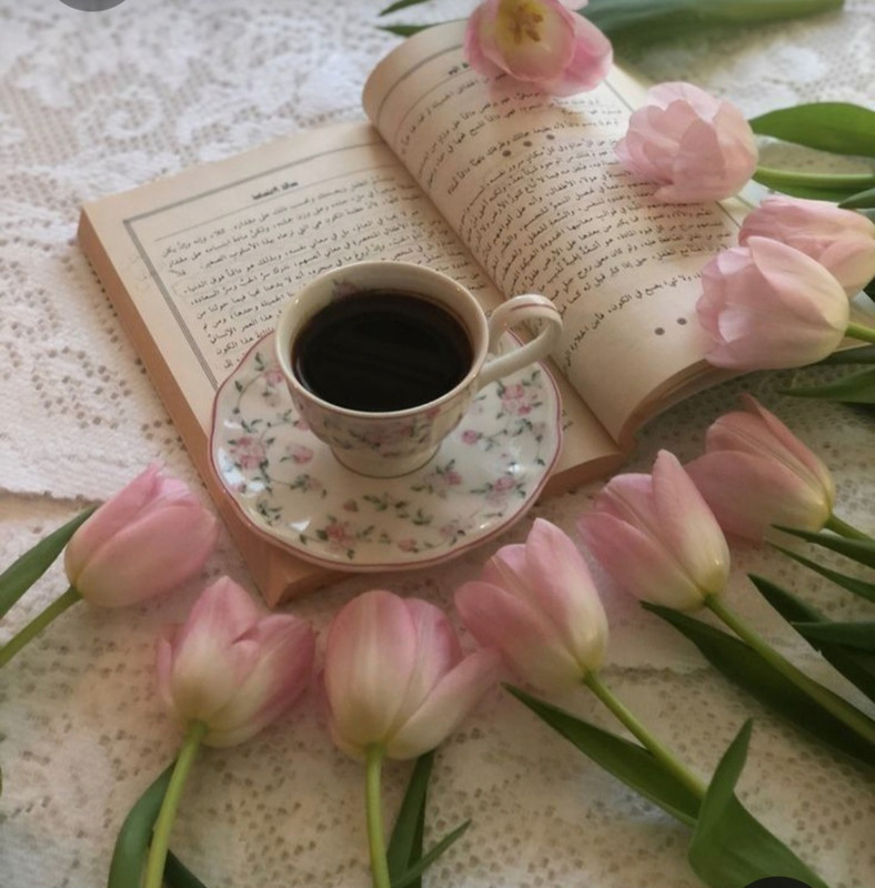 Screenshot_20230322_001209_Pinterest