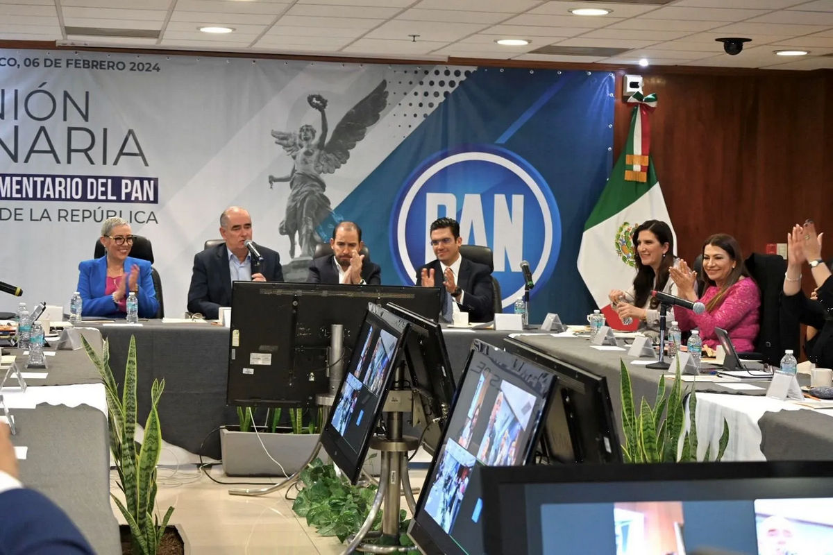 No estamos para agradarle al oficialismo, sino para defender a México: Julen Rementería