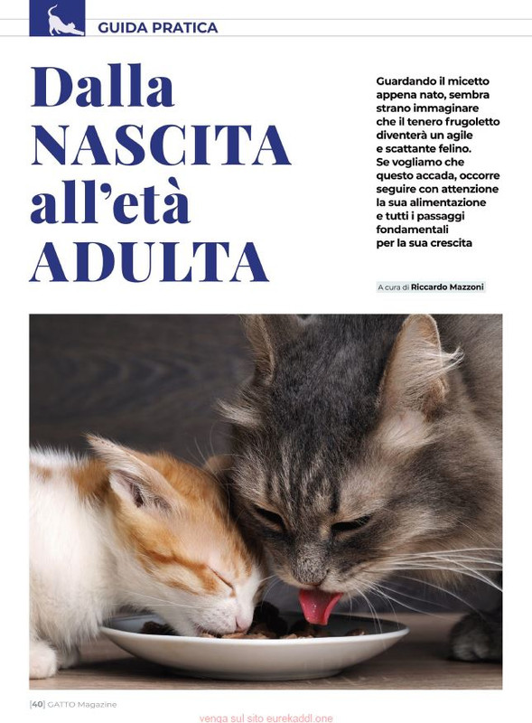 Ga Ma Ott-Nov 2021 (5)